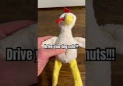 8Afeiy.jpg