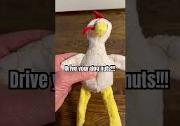 8Afeiy.jpg