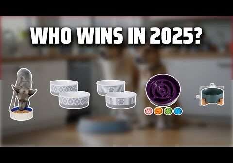 The Top 5 Best Ceramic Dog Bowls in 2025 - Must Watch Before Buying!