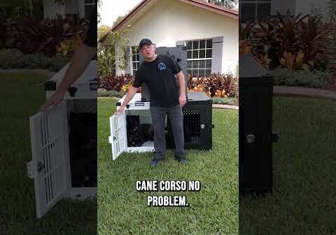 The Best Dog Crates on the Market