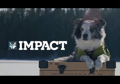 Impact Dog Crates: The Only Dog Crate You'll Ever Need, Guaranteed.
