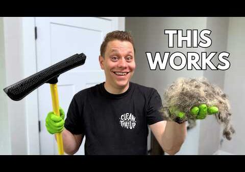 Pet Cleaning Products That Are Actually Worth Your Money