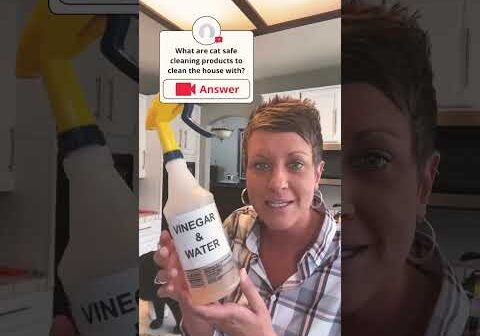 Safe Cleaning Products | Two Crazy Cat Ladies