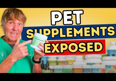 Pet Supplements EXPOSED – Are You Being Scammed?