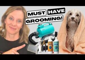 10 Essential Tools You Need to Groom Your Own Dog at Home