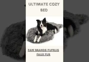 Ultimate Dog Bed Guide: Top 10 Orthopedic Dog Beds for Comfort &amp; Support 🐶👑
